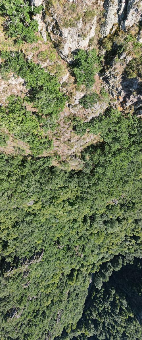 Gorges de Courgoul [02-07-2022](1006).jpg